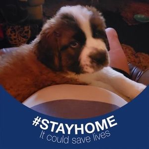 Meet your Posher, Jeff